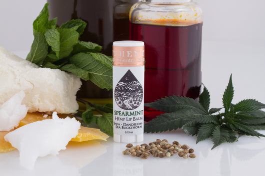 Nourishing Lip Balm - Spearmint
